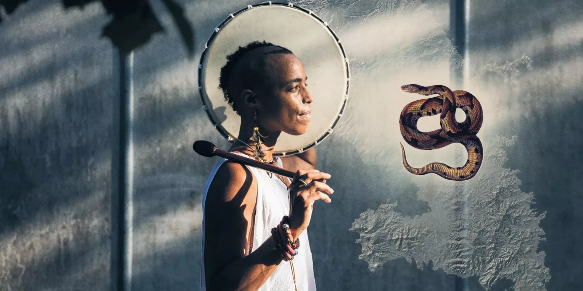 Le Baobab à Plumes Le Baobab à Plumes